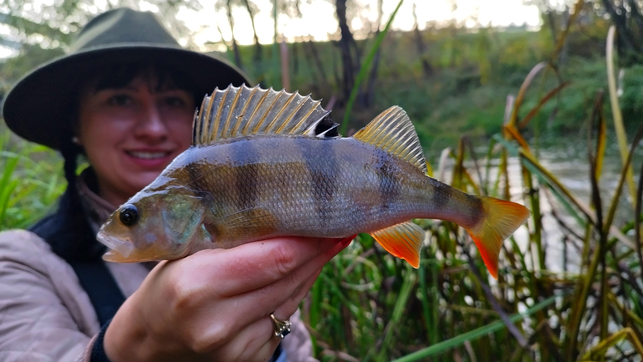 312103770_4958264757607470_427660695608761569_n