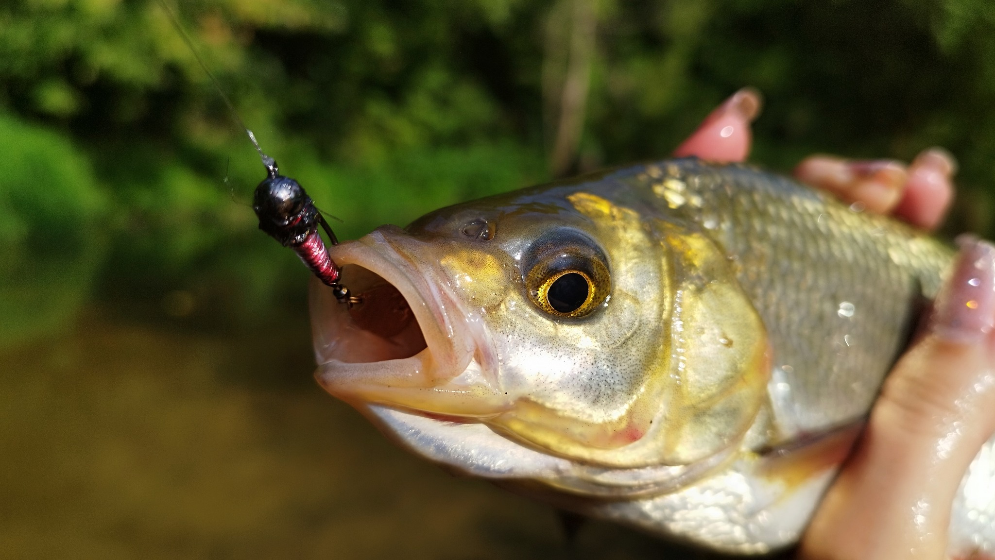 376678879_841176728012670_371025106345181134_n