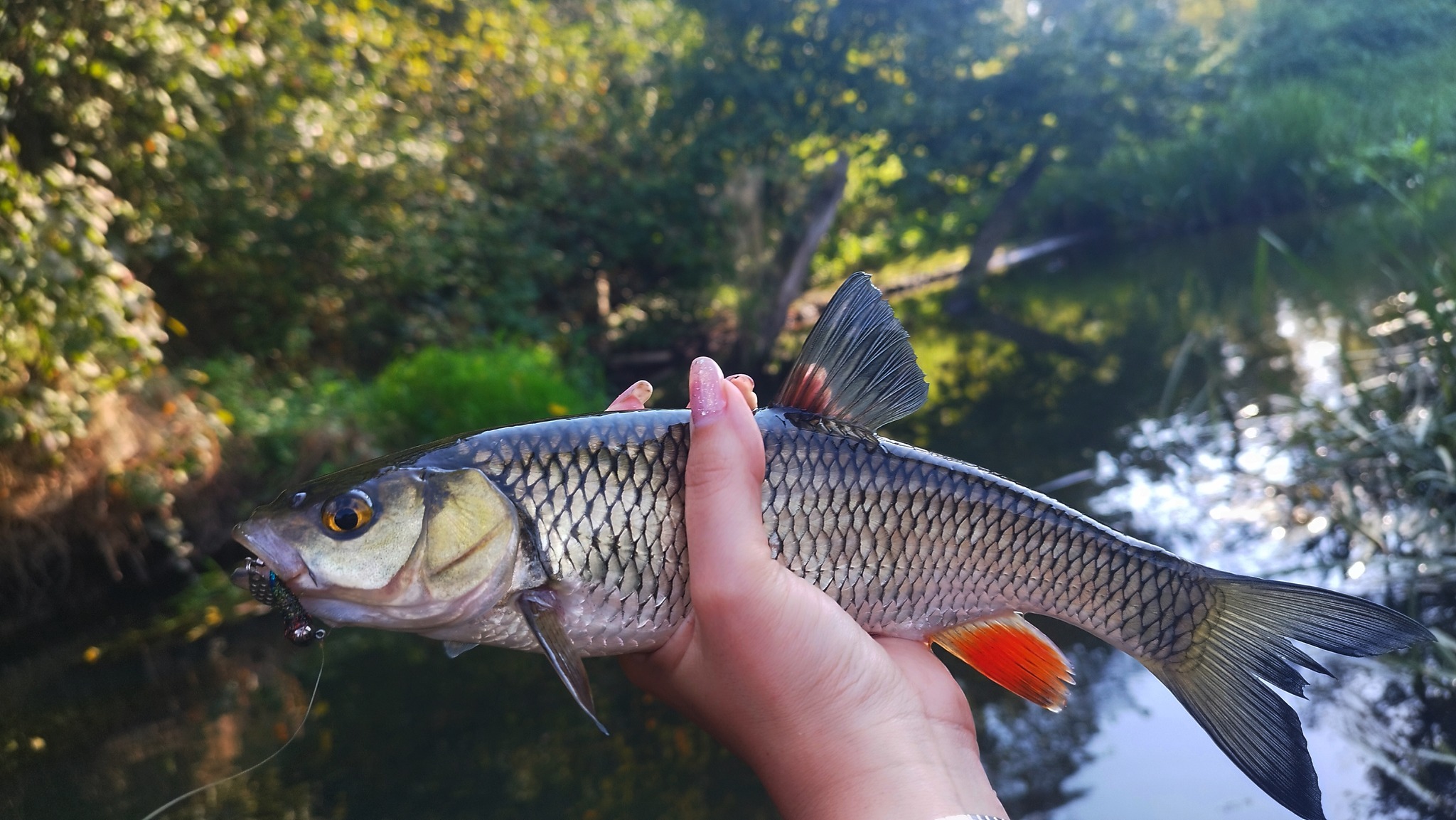 376746358_841176568012686_5439384734330891609_n