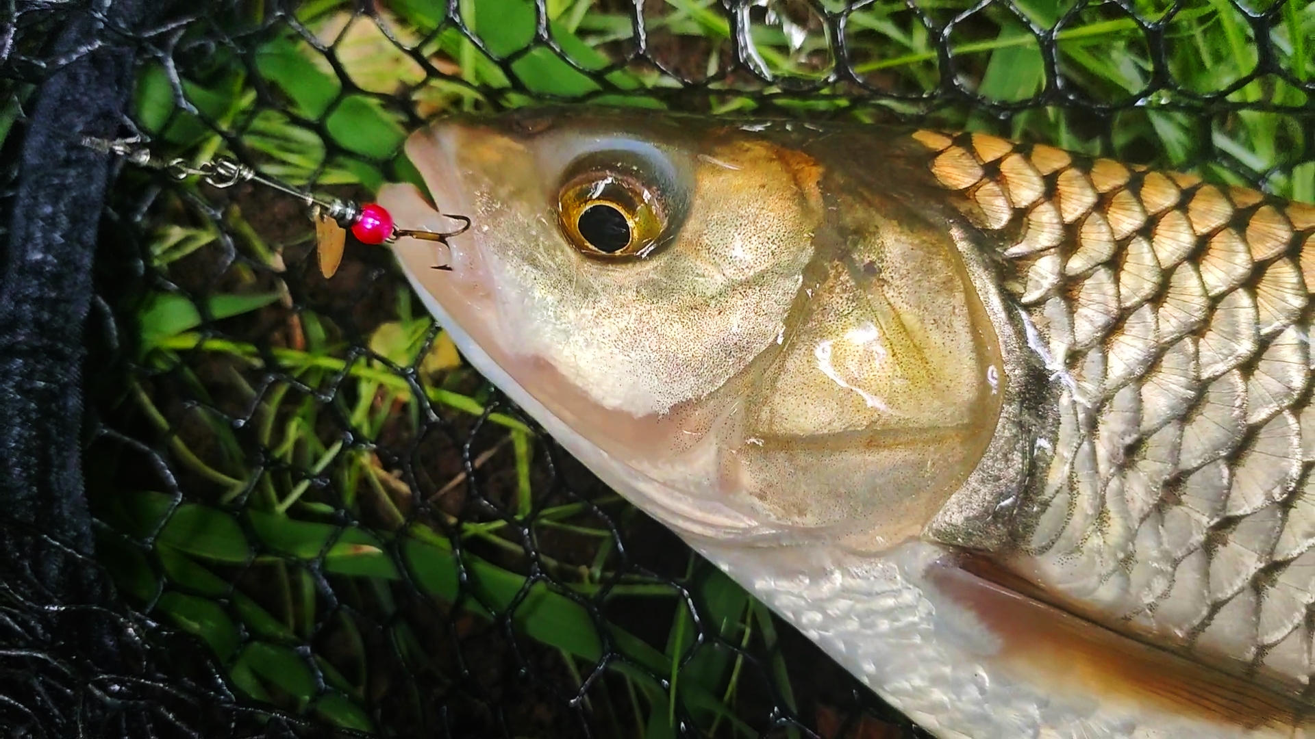 IMG_20220829_20122015