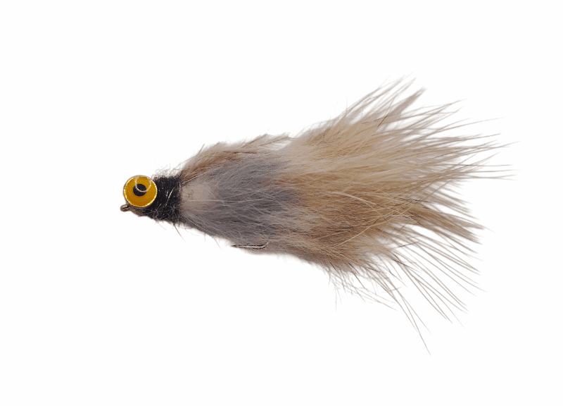Streamer 5