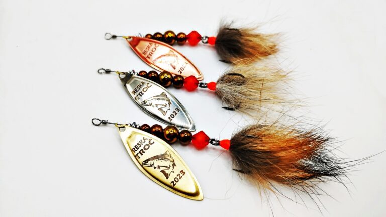 337872827_902758164319466_7968901793383726266_n