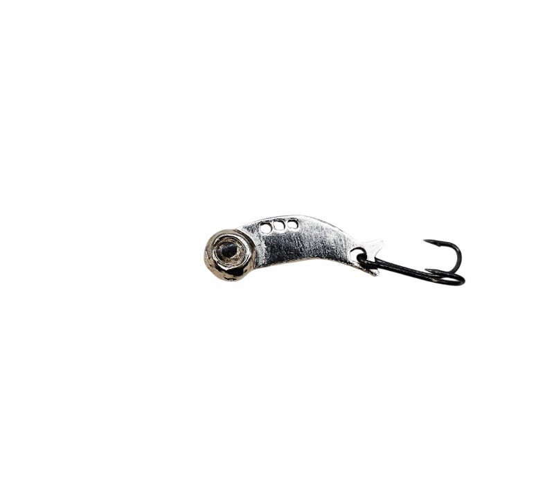 Cykada 2 cm