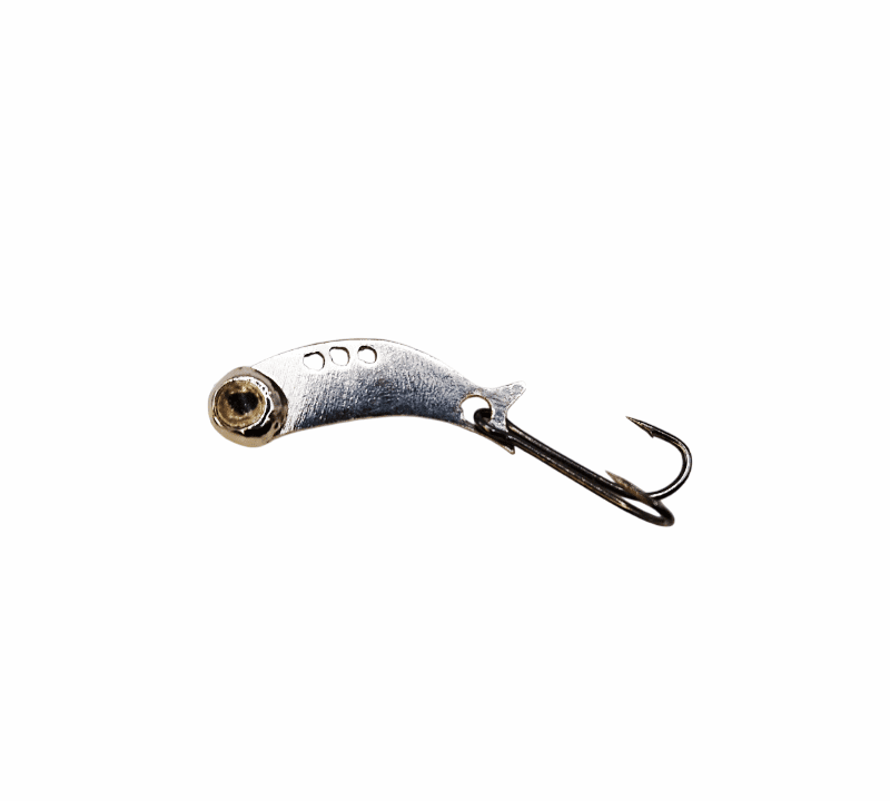 Cykada 2.4 cm