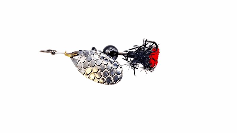 Rosa nr 2 - Srebrna