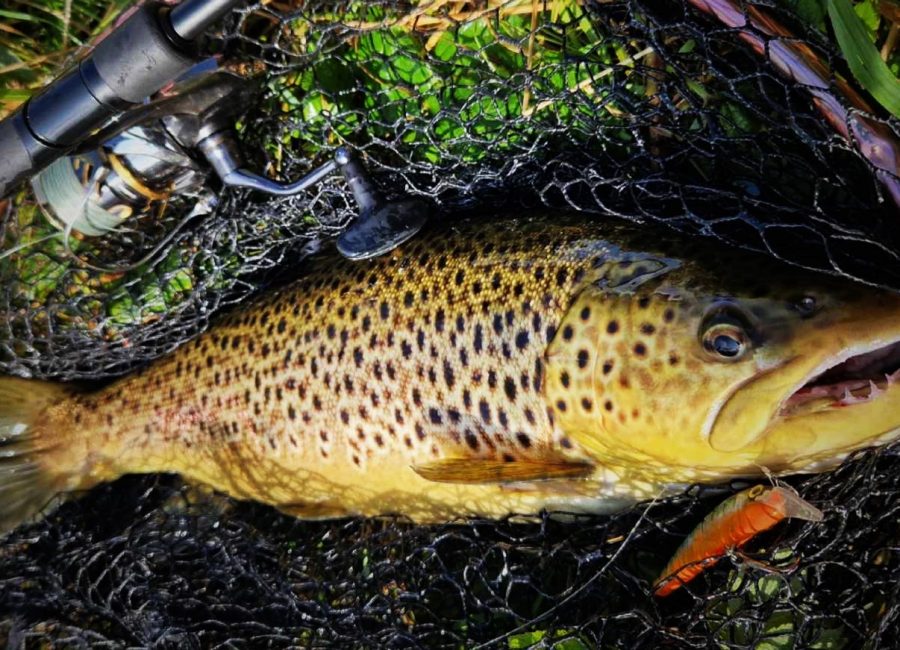 455240880_816808147205342_3476457415651324089_n